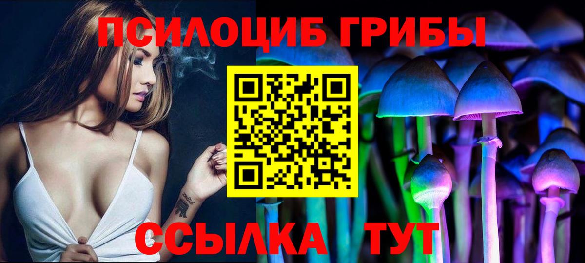 Сыктывкар  Псилоцибиновые грибы мухоморы  Вход с VPN 