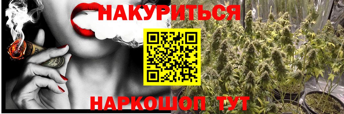 Конопля конопля  Бошки марихуана ГИДРОПОН  Сыктывкар  Вход с VPN  Канабис OG Kush  Бошки марихуана сатива 